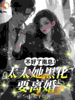 离婚就崛起，这总裁夫人她不做了苏心瑶南羽陌大结局在线阅读-暗夜阅读网
