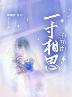 一寸相思千万绪【全章节】夏卿月秦昭川完结版免费阅读
