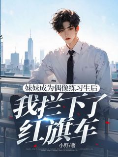 爆款小说由作者小野所创作的妹妹成为偶像练习生后，我拦下了红旗车在线阅读