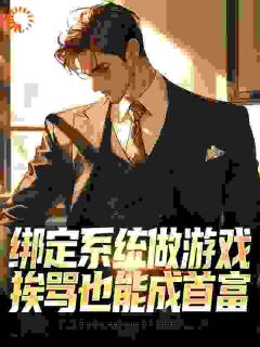 无弹窗小说绑定系统做游戏，挨骂也能成首富 作者四斤排骨-暗夜阅读网