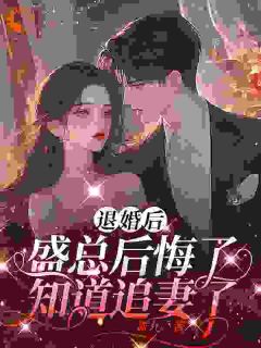 退婚后，盛总后悔了，知道追妻了夏暖听盛越-小说未删减阅读-暗夜阅读网