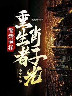 警婿神探，重生者肖子光！小说最新章节 肖子光薛雯薛淑玉结局是什么