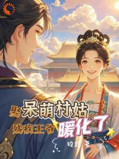 娶呆萌村姑，残疾王爷暖化了(白芨祁怀瑾)全文完整版阅读