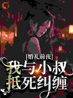 婚礼前夜,我与小叔抵死纠缠花放傅砚沉小说完整在线阅读-暗夜阅读网