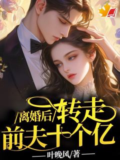 离婚后，转走前夫十个亿(叶晚风)最佳创作小说全文在线阅读