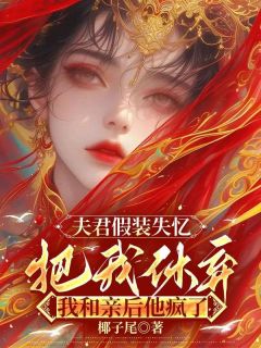 好看的夫君假装失忆把我休弃，我和亲后他疯了小说-夫君假装失忆把我休弃，我和亲后他疯了最新章节阅读-暗夜阅读网