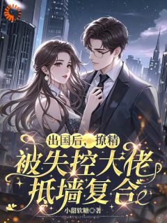 出国后，撩精被失控大佬抵墙复合小说(完结版)-沈星媛陆冷时在线阅读