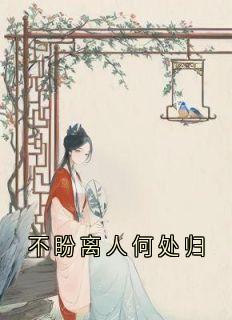 魏云汐贺淮序小说不盼离人何处归全文阅读