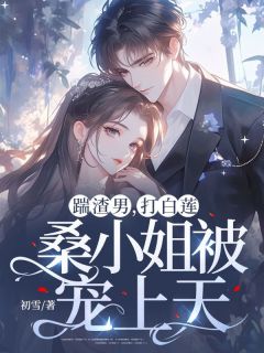桑榆司谨延小说哪里可以看 小说踹渣男，打白莲，桑小姐被宠上天全文免费阅读