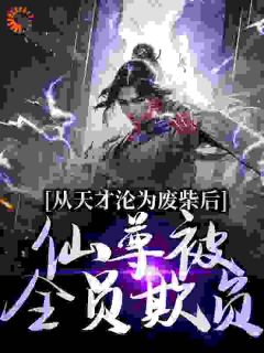 从天才沦为废柴后，仙尊被全员欺负免费阅读全文，主角宋飞宋铭小说
