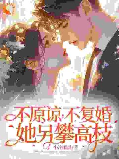 被害流产，我出国前夫用命换我回头无弹窗在线阅读