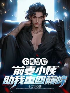 方城秦婉小说全网黑后，前妻小姨助我重回巅峰免费阅读-暗夜阅读网