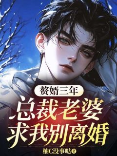 主角是陆修远江月柔的小说叫什么赘婿三年，总裁老婆求我别离婚免费全文阅读