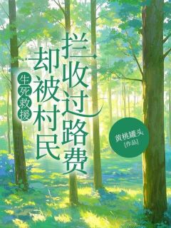 生死救援，却被村民拦收过路费免费小说作者黄桃罐头全文阅读