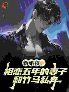 主人公姜婉陈寻小说新婚夜，相恋五年的妻子和竹马私奔在线全文阅读