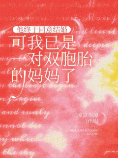 他终于同意结婚，可我已是一对双胞胎的妈妈了by许妍罗志成在线阅读-暗夜阅读网