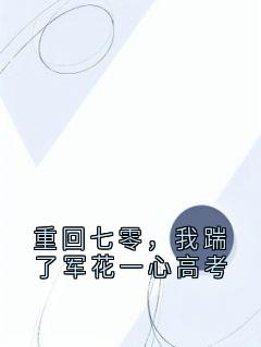 重回七零，我踹了军花一心高考小说(完结)-苏景辰沈雪章节阅读-暗夜阅读网