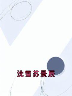 主角苏景辰沈雪小说完整版-沈雪苏景辰免费阅读全文-暗夜阅读网