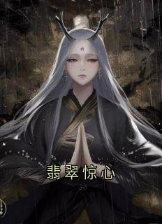 佚名最新小说翡翠惊心沈如云青岚阿烟在线试读