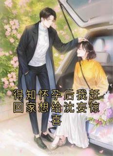 大神的小说得知怀孕后我赶回家想给沈妄惊喜全文阅读-暗夜阅读网