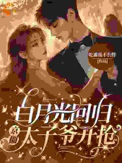 白月光回归，京圈太子爷开抢陆妄辞虞晚颜-小说txt全文阅读