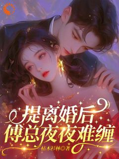提离婚后，傅总夜夜难缠(枯木衫林)最佳创作小说全文在线阅读