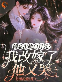 虐渣生崽两不误，改嫁豪门我超酷小说冷芷凝傅沉钧免费阅读-暗夜阅读网