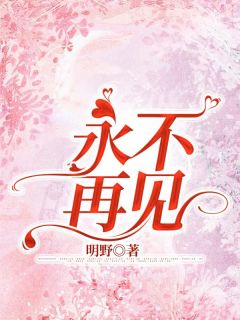 永不再见沈清顾景延大结局小说全章节阅读