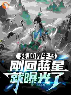 我，仙界牛马，刚回蓝星就曝光了小说(完整版)-黄天周平章节阅读