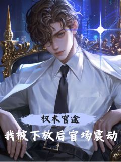 (抖音)权术官途：我被下放后官场震动 主角周文峰张妍