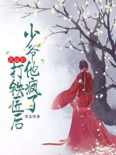 我嫁给打铁匠后，少爷他疯了李锡怜儿小说_我嫁给打铁匠后，少爷他疯了完结版阅读