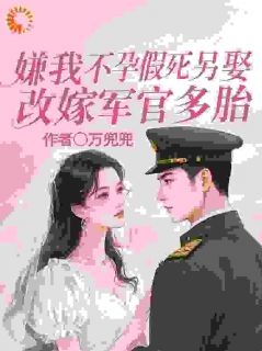 好看的重生：我才不要做养母小说，主角沈宁雪顾怀远最新章节阅读