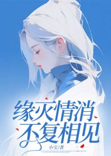缘灭情消，不复相见苏锦月许知衡-小说未删减阅读