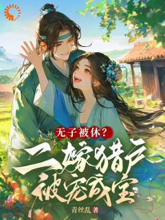书荒必备无子被休？二嫁猎户被宠成宝全文章节阅读