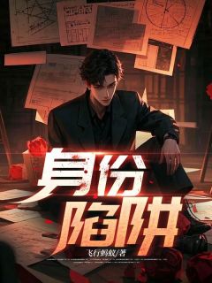 身份陷阱(飞行蚂蚁)最佳创作小说全文在线阅读-暗夜阅读网