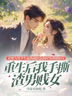 精彩小说沈念安钟予陈东升老婆为男学生逼我截肢血崩时签离婚协议，重生后我手撕渣男贱女全文目录畅读