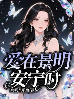 安宁何景明小说最后结局  安宁何景明完结版免费阅读-暗夜阅读网