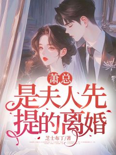 萧总，是夫人先提的离婚(林裳裴景萧)小说全章节目录阅读