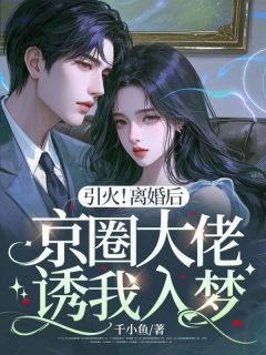 （全本）引火！离婚后京圈大佬诱我入梦主角温迎顾野全文目录畅读