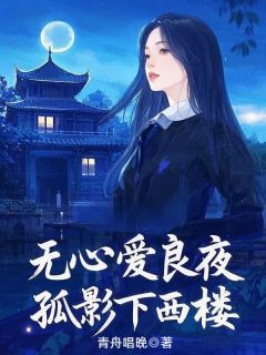 无心爱良夜，孤影下西楼南安秦清阳-小说未删减阅读-暗夜阅读网