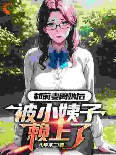 和前妻离婚后，被小姨子赖上了苏洛林小婉全章节完结版在线阅读
