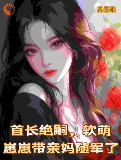 无广告小说首长绝嗣，软萌崽崽带亲妈随军了-苏圆圆陆正安在线阅读-暗夜阅读网