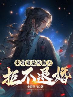 熬夜也要看完的未婚妻是风傲天，拒不退婚小说推荐