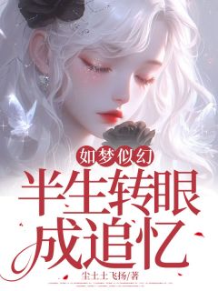 爆款热文魏佳佳韩笑天魏西在线阅读-如梦似幻，半生转眼成追忆全章节列表-暗夜阅读网