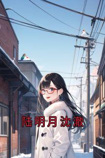 好书推荐陆明月沈澈陆明月夏希泽全文在线阅读
