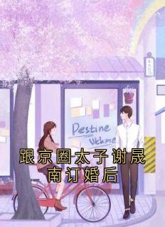 跟京圈太子谢晟南订婚后免费阅读全文，主角谢晟南许韶章知微小说完整版-暗夜阅读网