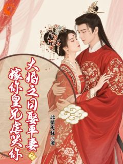 此情无忧写的小说新婚日抬平妻？飒爽世子妃休夫再嫁在线阅读-暗夜阅读网