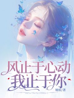 风止于心动我止于你(沈稚鱼谢廷淮)小说全章节目录阅读