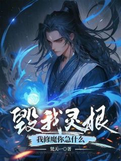 毁我灵根，我修魔你急什么？是什么小说叶尘苏林全本免费阅读