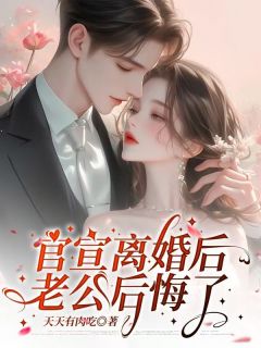 抖音官宣离婚后，老公后悔了txt小说阅读